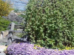 Ferienwohnung Alpenblick