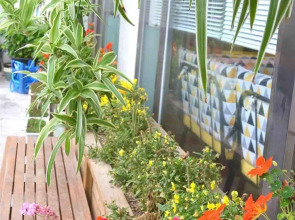 Egg House Sokcho Guesthouse