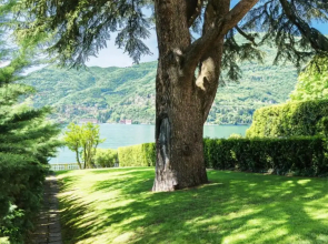 Il nido di Villa Cademartori