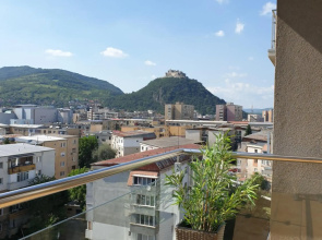The View