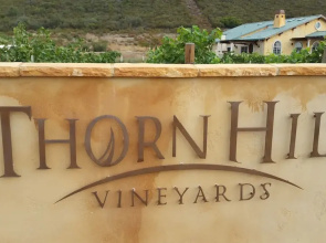 Thorn Hill Vineyard Villas