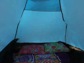 Gypsy Spot