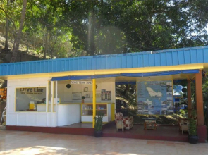 Dive Link Coron Adventure Island Resort