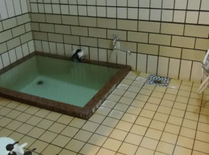 Sakaenoyu Ryokan
