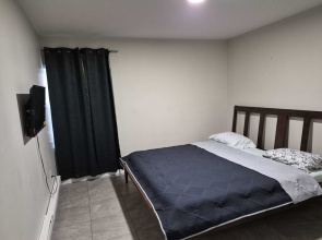 Modern Quiet Suite
