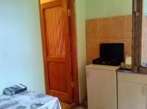 Guesthouse In The Downtown Borjomi