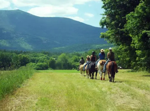 Farm by the River Bed & Breakfast with Stables