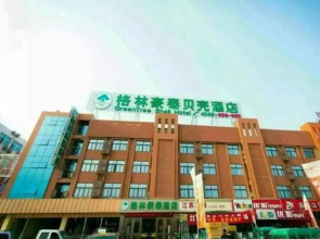 GreenTree Inn Fuyang Linyi Market Shell Hotel