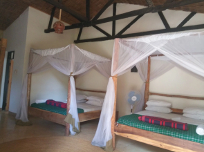 Honey Badger Lodge