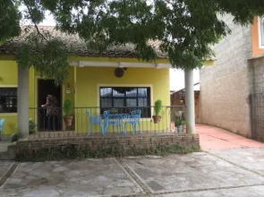 Hotel Casa Del Árbol