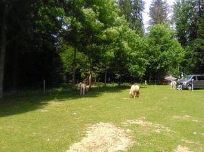 Feriengut Zum Frsten