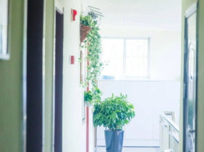 Beijing Alley International Youth Hostel