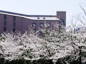 Hotel Kunitomi Annex - Vacation STAY 12072v