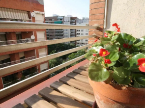 Las Minvas Centro 2
