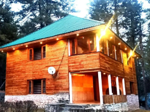Pahalgam Woods