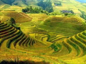 Guilin Longji Zhai Hualou Inn