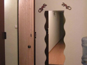 Игуана на Московском