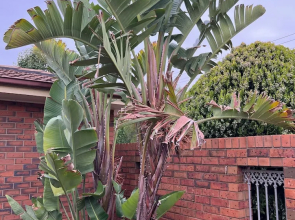 Apple House Hoppers Crossing