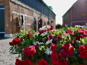 Appartement 3 - a24395