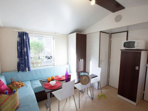 Well-kept Mobilehome With Combi-microwave, Beach at 5 km