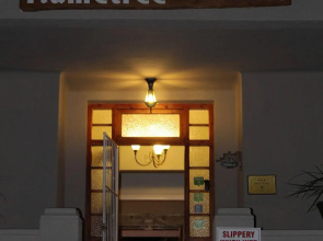 Flametree Guesthouse