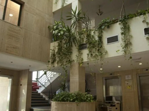 Ejido Hotel