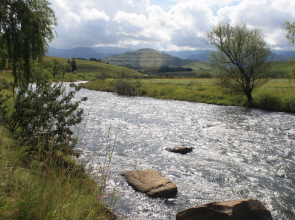 Nguni Moon Tepee Camp