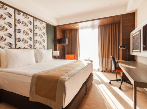 Holiday Inn Kayseri - Duvenonu, an IHG Hotel