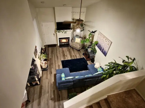 Casa de gato