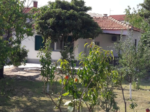 Smokvica