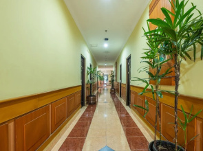 Isola Resort Hotel
