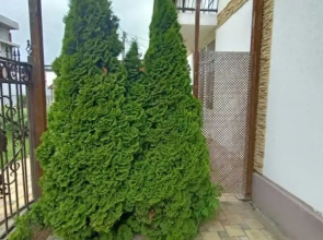 Guest House Belaya Zhemchuzhina