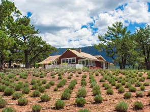 Pine Cabin With Sweeping Views! Private, Peaceful Getaway! Fun for Family! by Redawning