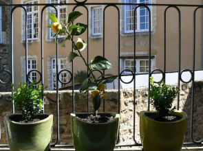 Appartement Relais Saint Pavin