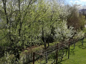 Guesthouse Šebalj