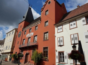 House With 3 Bedrooms in Haguenau, With Pool Access, Enclosed Garden a