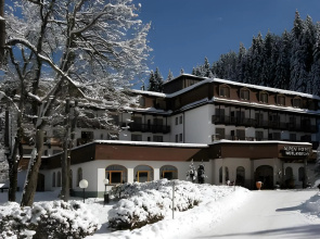 Alpenhotel Weitlanbrunn