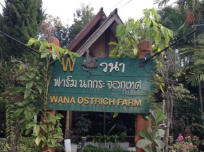 Wana Horse And Ostrich Farm Tent