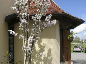 Hotel Gierer