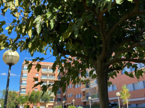 Bajos Con Terraza Privada Y Zona Comunitaria