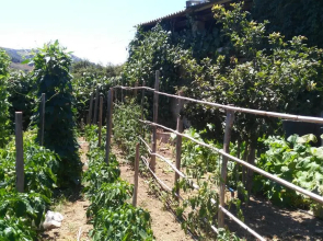 la Casetta della Nonna