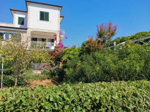 Srđan - 10 m From the Beach - A2