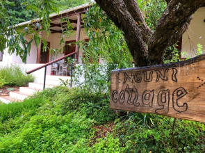 Frog Mountain Getaway