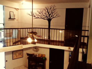 Home16 Hostel 16