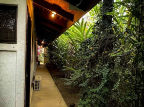 Cabinas Tropicales Puerto Jimenez