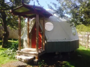 Golden Tree Hostel