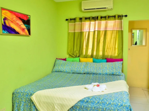 Kingston Sunset Guest Apartment II