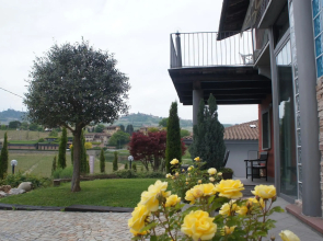 Red Wine Camere