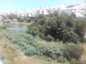 Roomy 1-bed Apartment in Albufeira Center