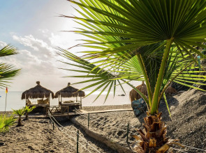 Robinson Camyuva - Adults only